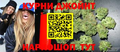 прущие грибы Будённовск