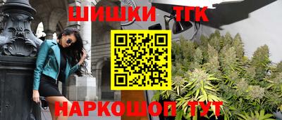 прущие грибы Будённовск