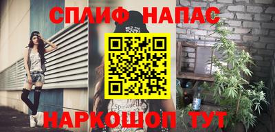 прущие грибы Будённовск