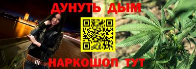 прущие грибы Будённовск