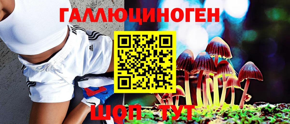 Псилоцибиновые грибы MAGIC MUSHROOMS Торжок